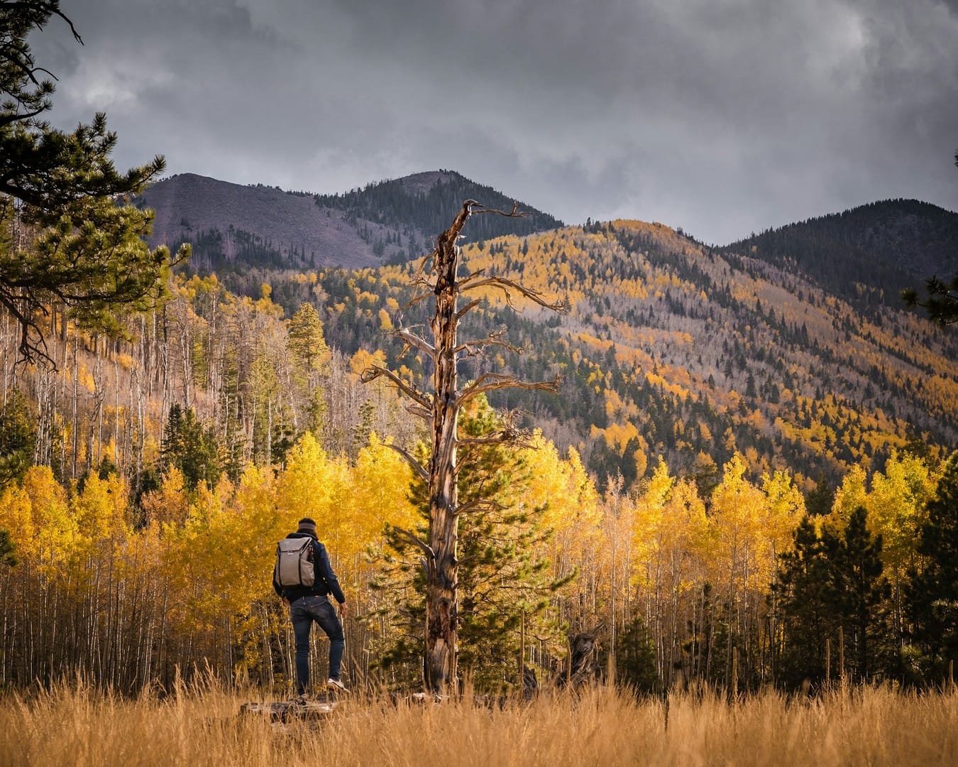 Flagstaff