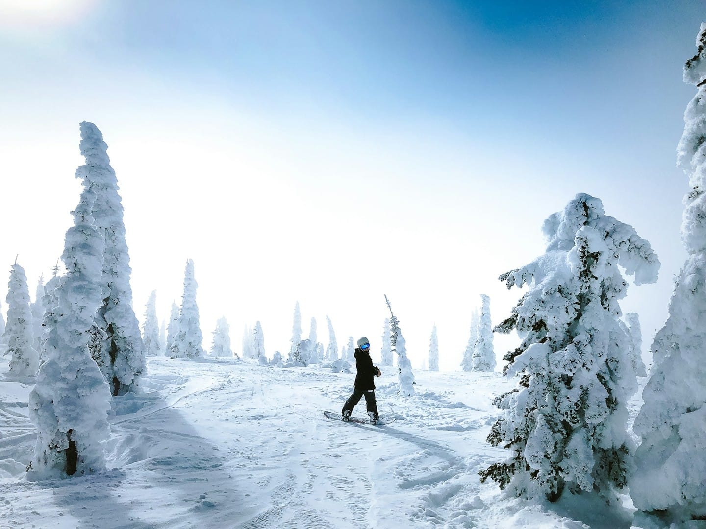 Whitefish