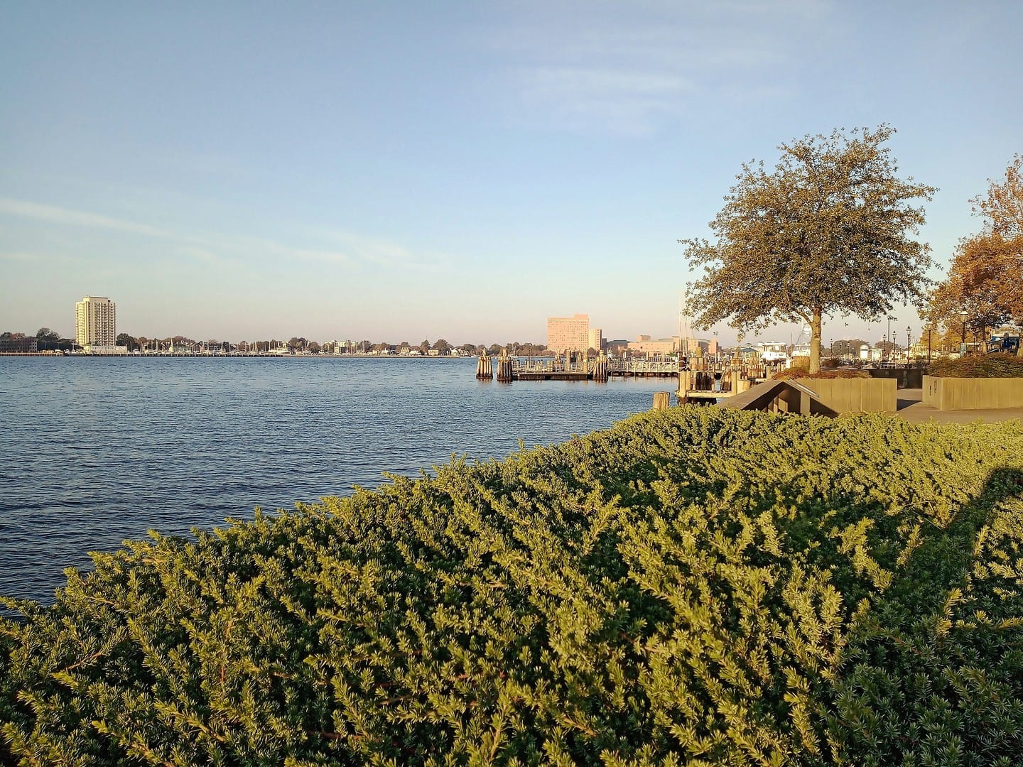Norfolk
