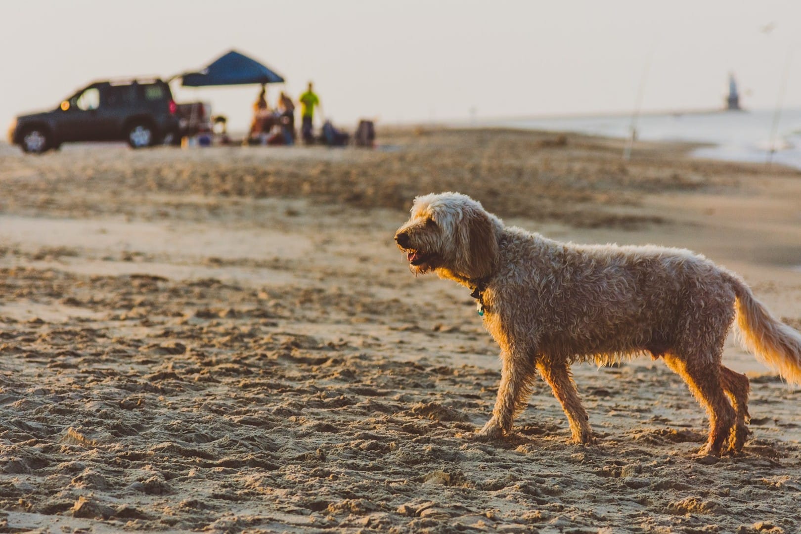 Rehoboth Beach