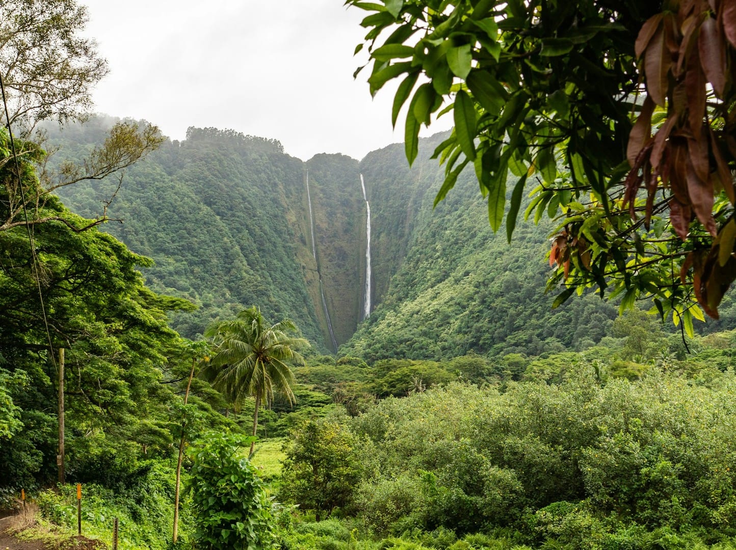 Big Island