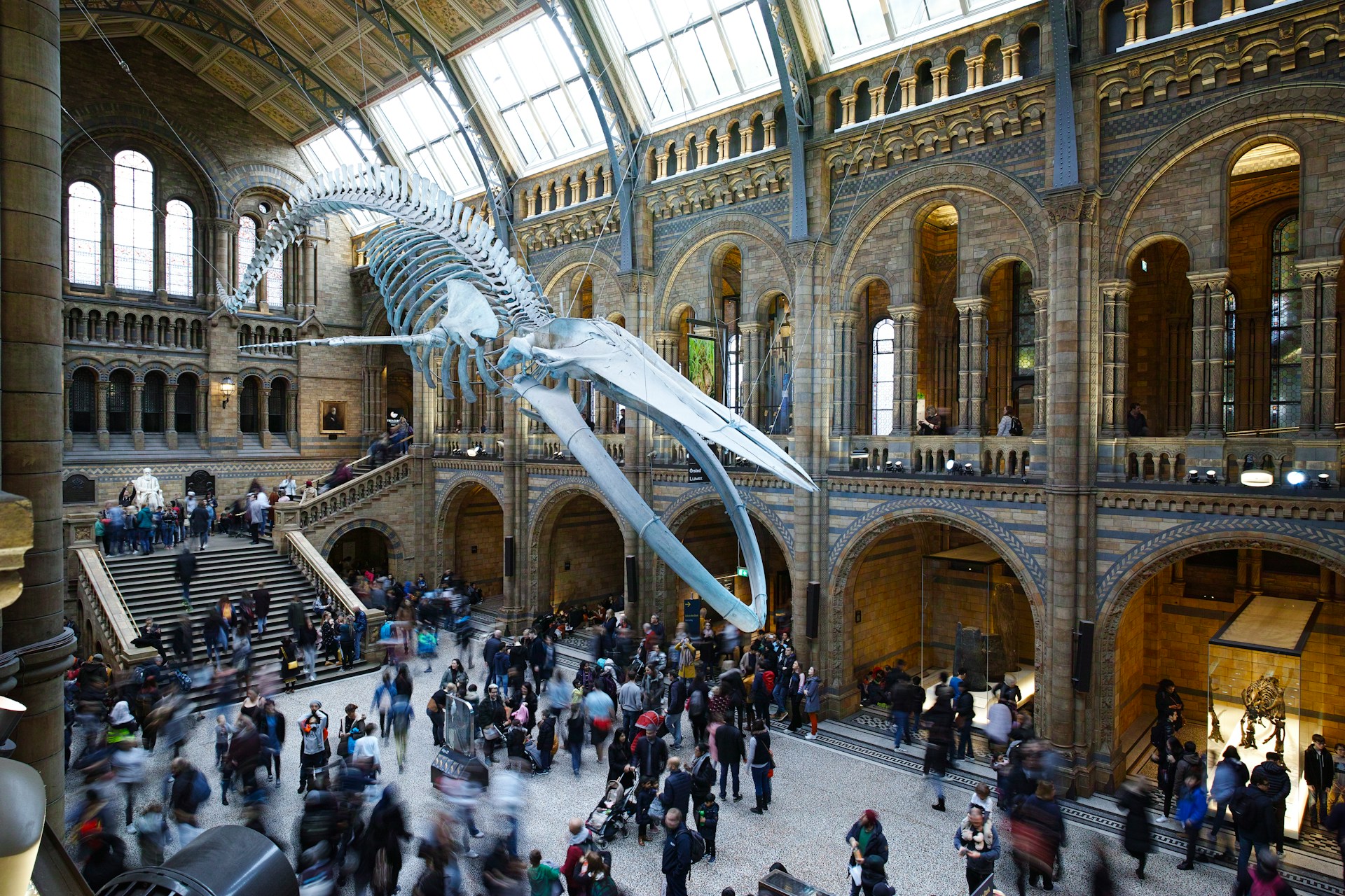 Museum