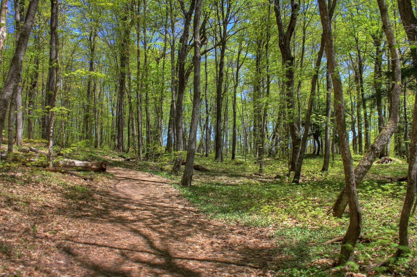 Porcupine Mountains Wilderness State Park