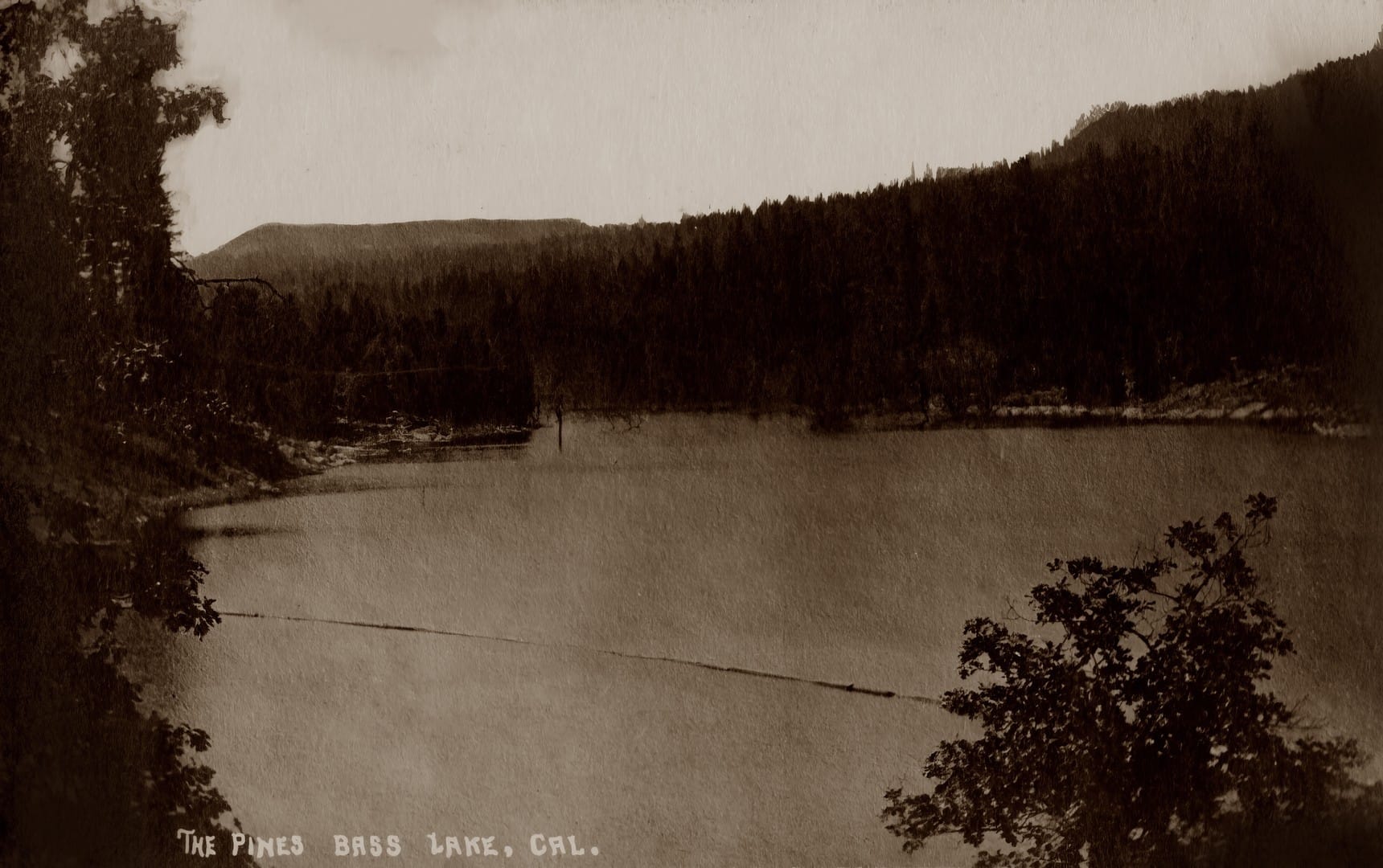 Bass Lake