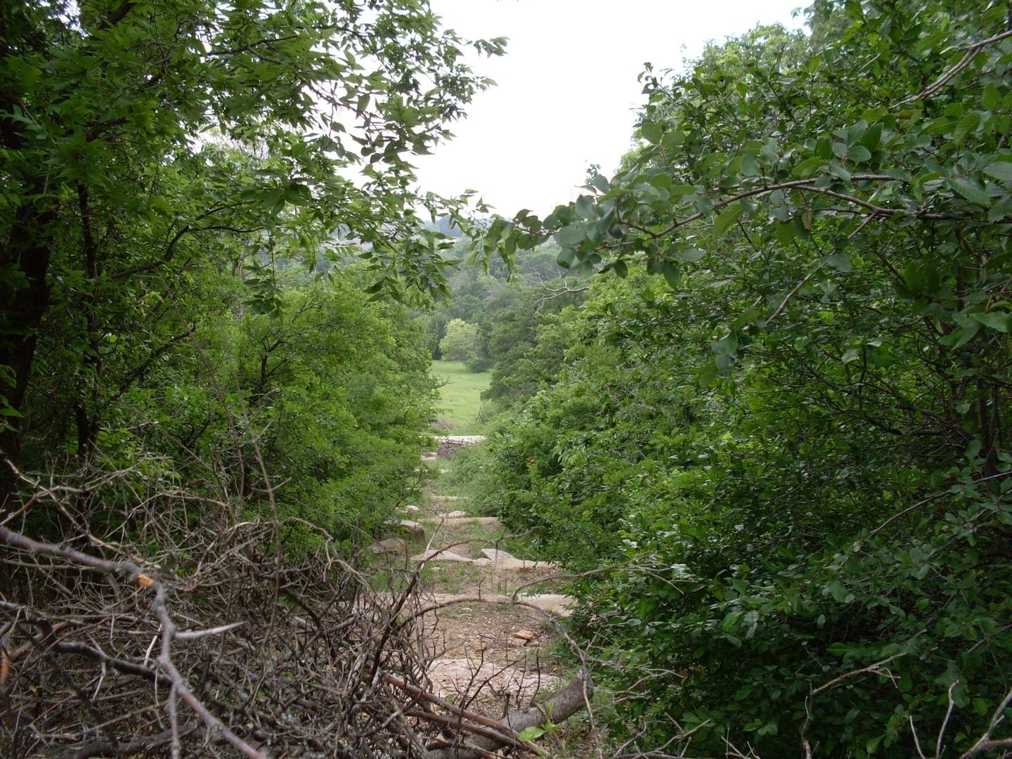 Arbor Hills Nature Preserve