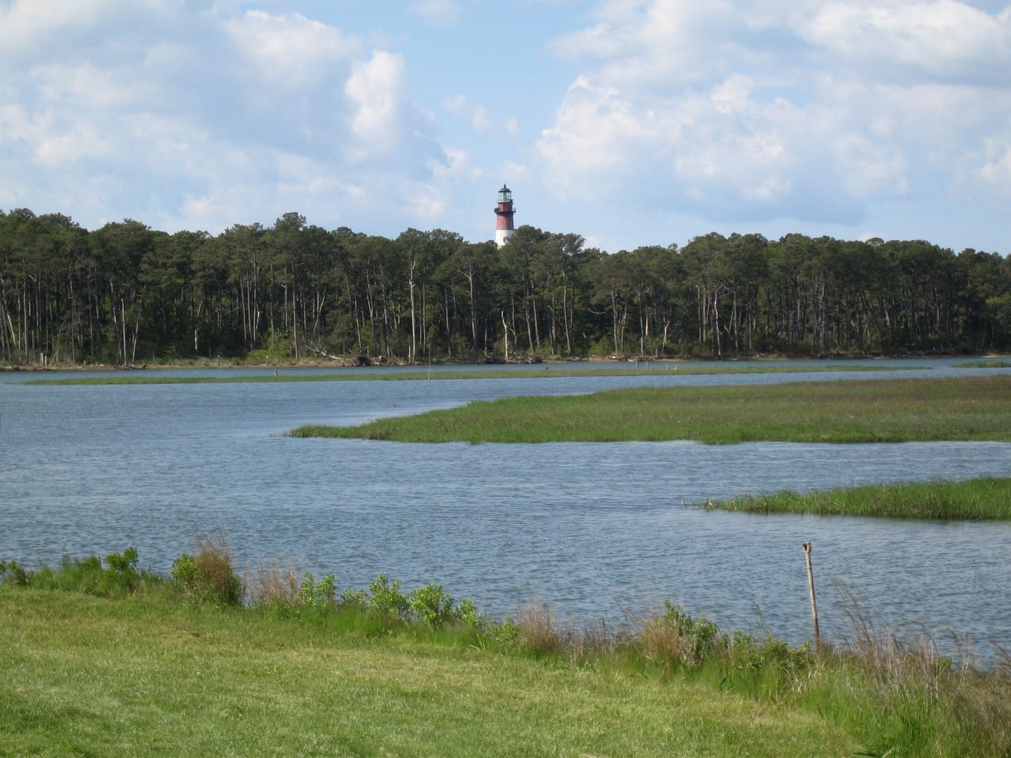 Chincoteague National Wildlife Refuge