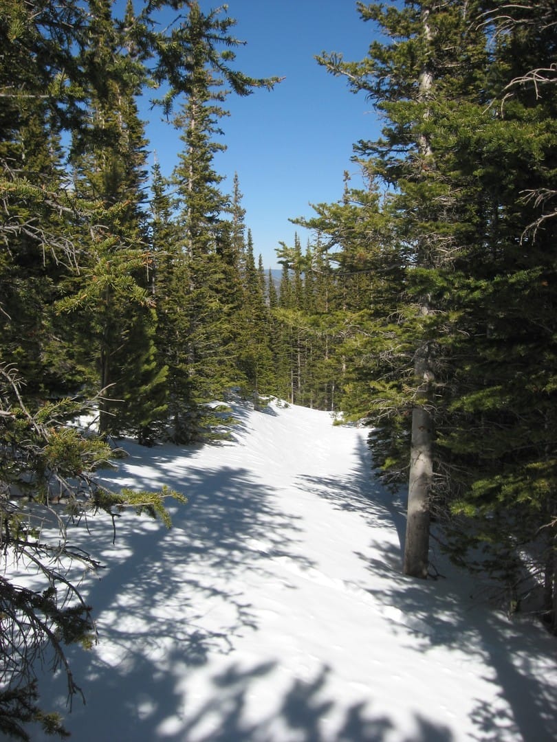 Photo of Flattop Mountain Trail