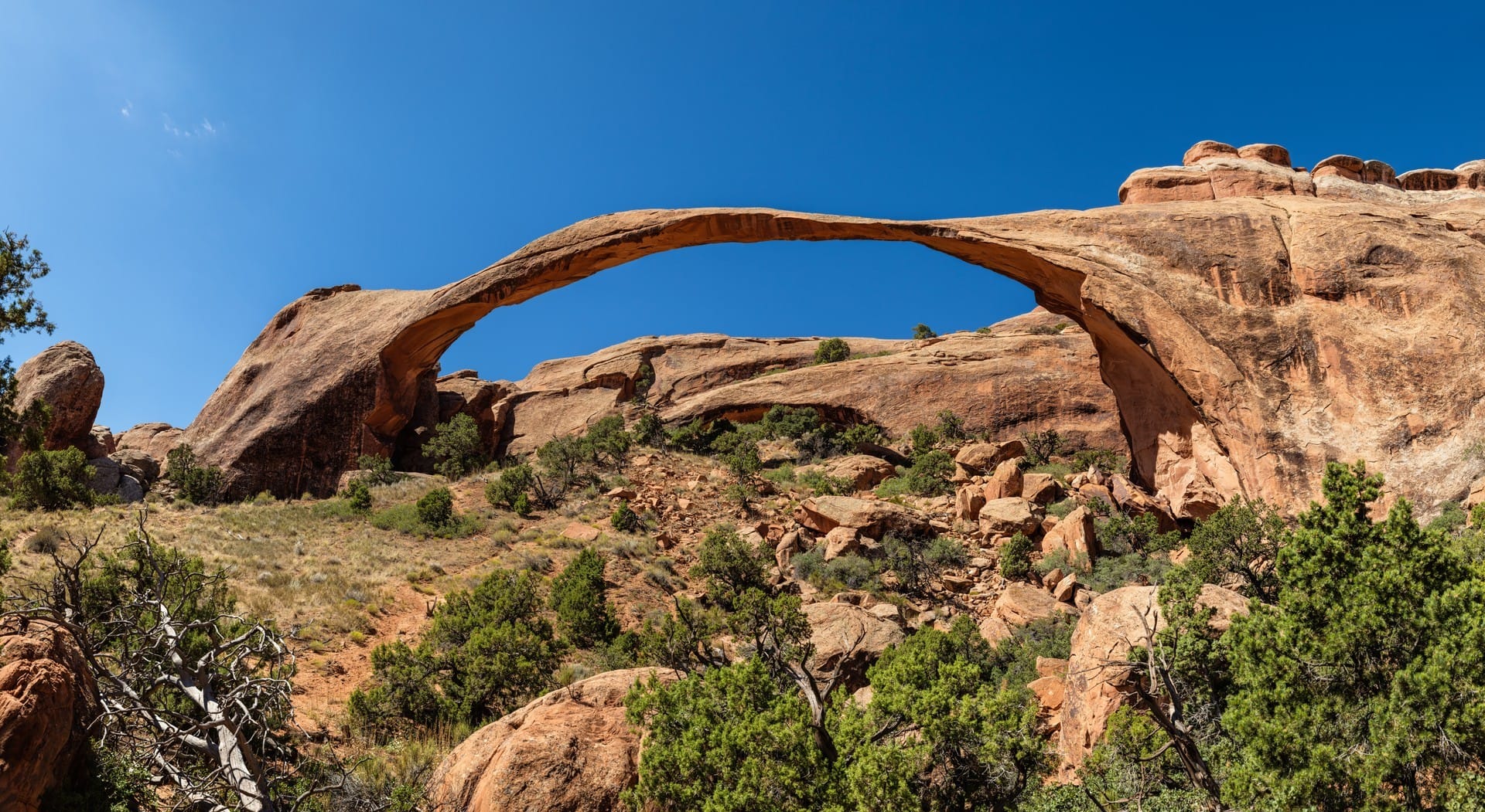 Photo of Landscape Arch