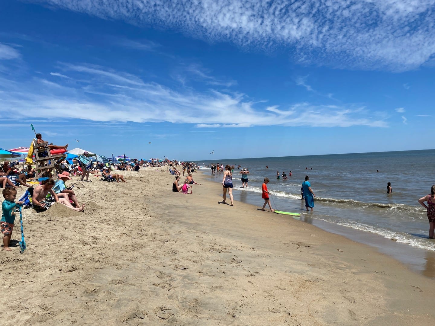 Cape Henlopen State Park