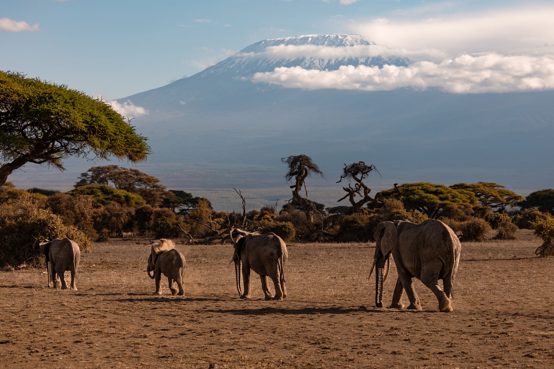 Amboseli