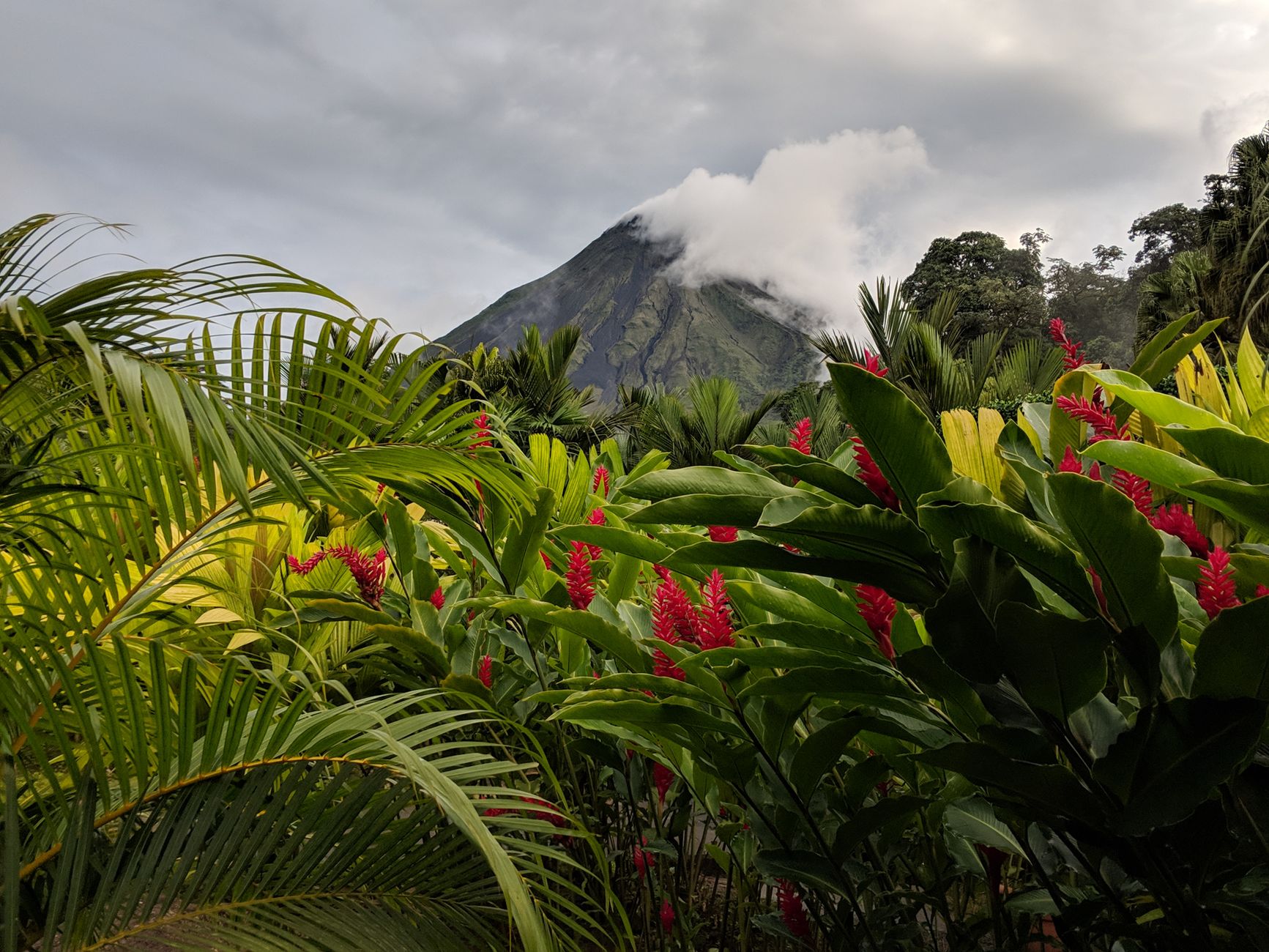 Arenal / La Fortuna