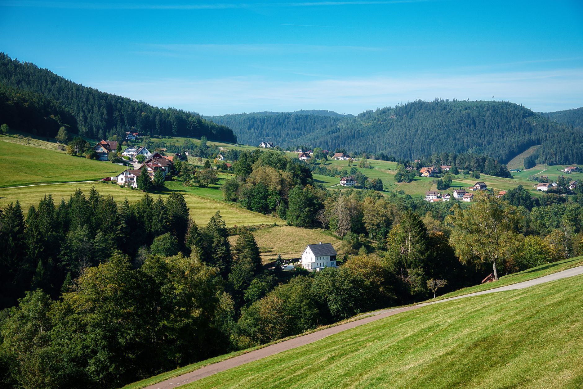 Black Forest