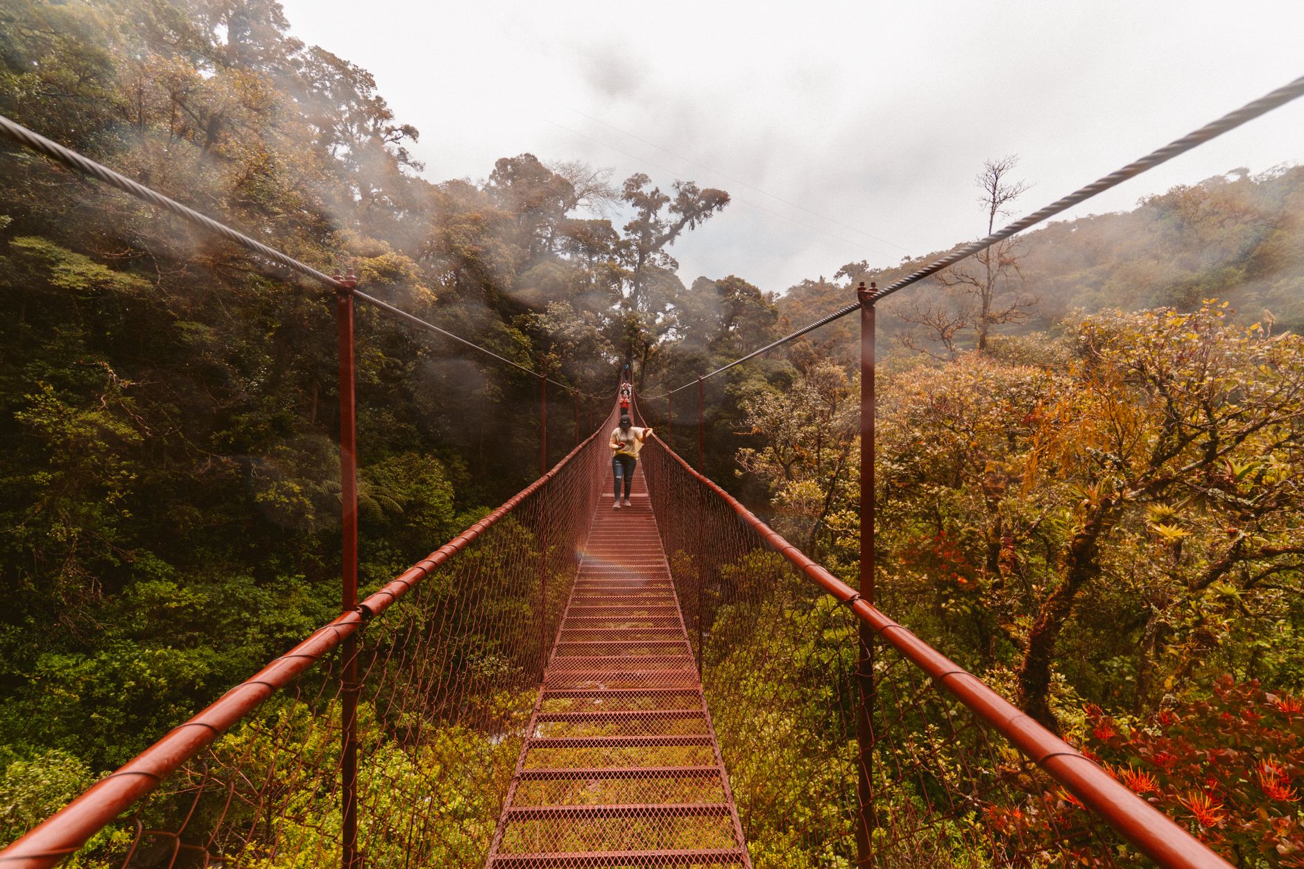 Monteverde